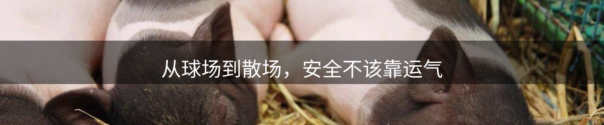 新闻资讯