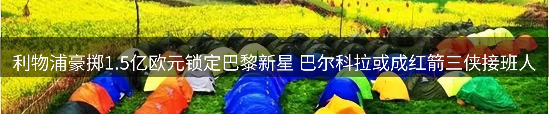 新闻资讯