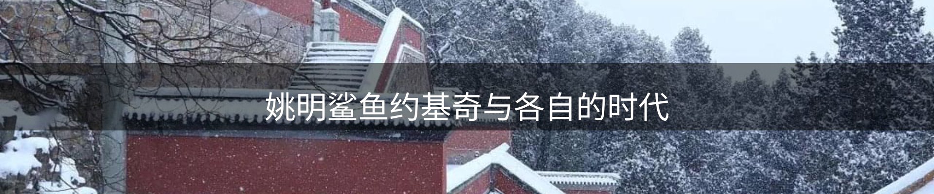 新闻资讯