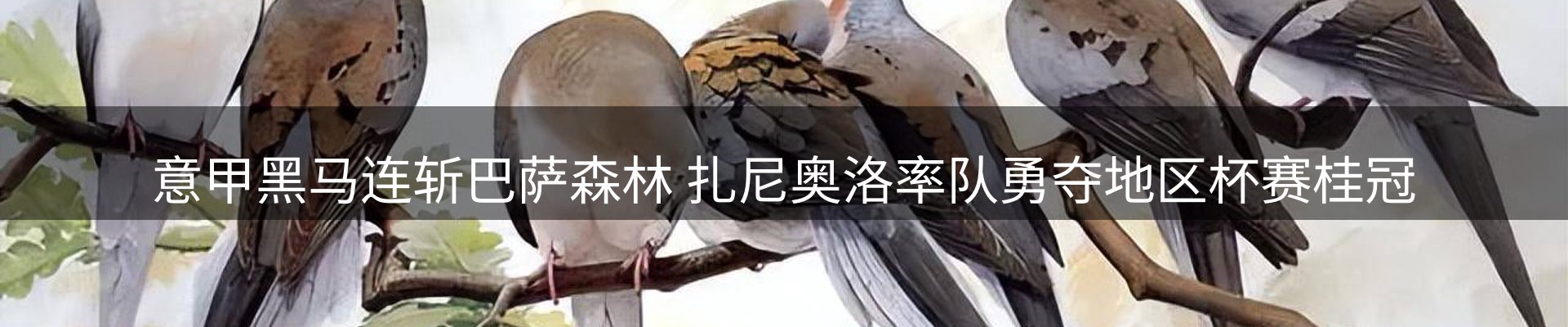 新闻资讯
