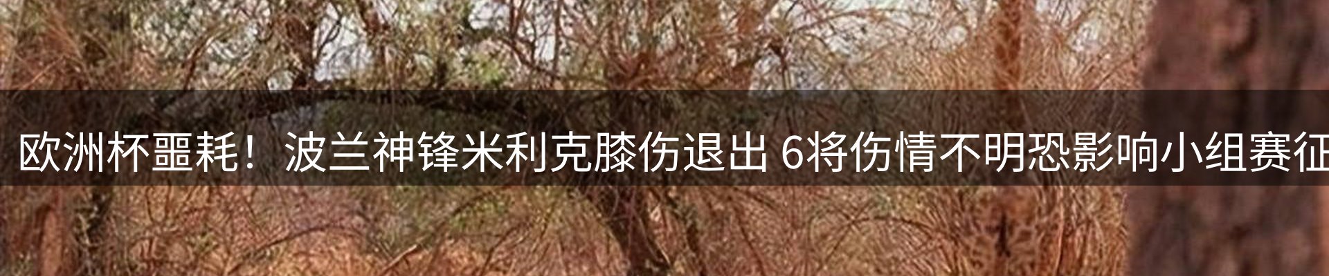 新闻资讯