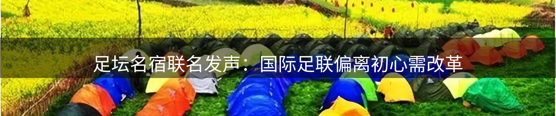 新闻资讯