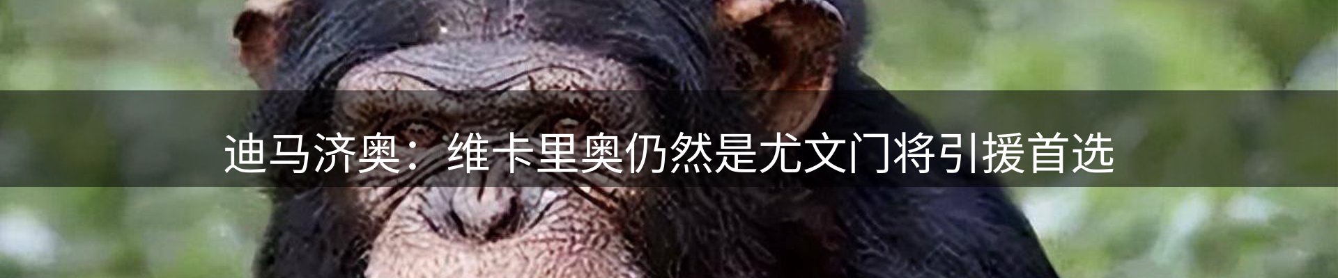 新闻资讯